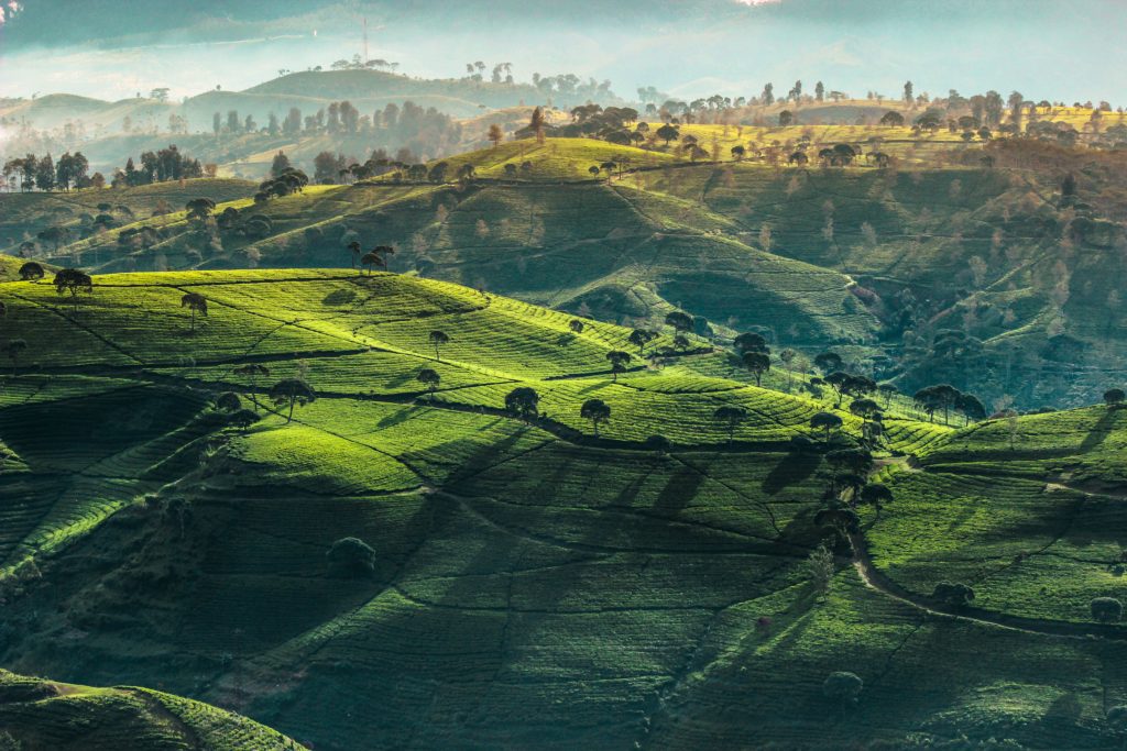 paisaje colombia